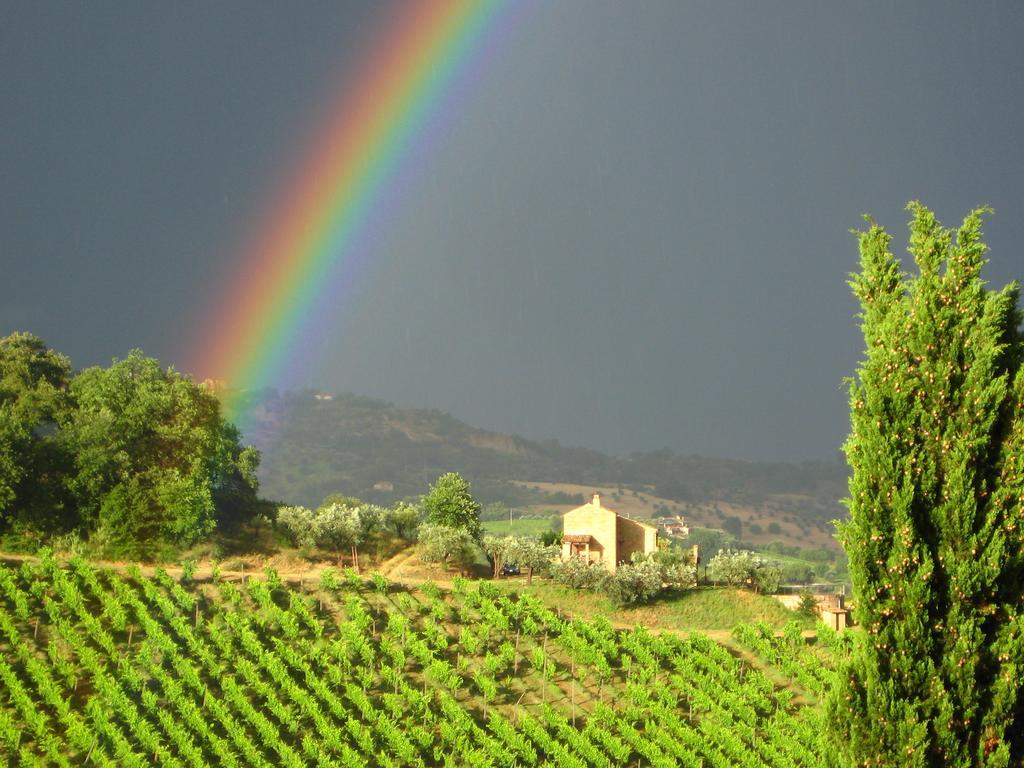 Вілла Agriturismo La Campana Montefiore dell'Aso Екстер'єр фото