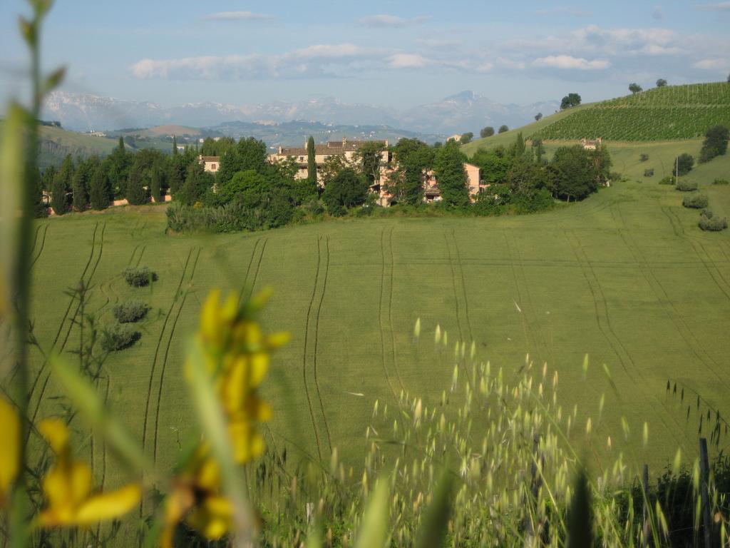 Вілла Agriturismo La Campana Montefiore dell'Aso Екстер'єр фото