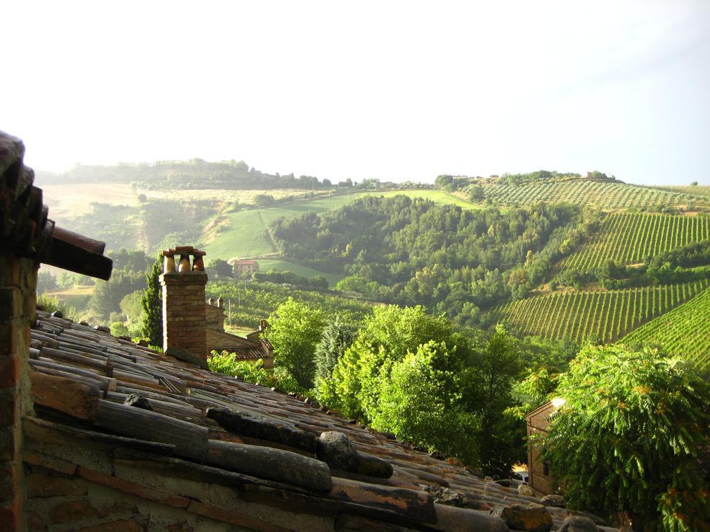 Вілла Agriturismo La Campana Montefiore dell'Aso Екстер'єр фото